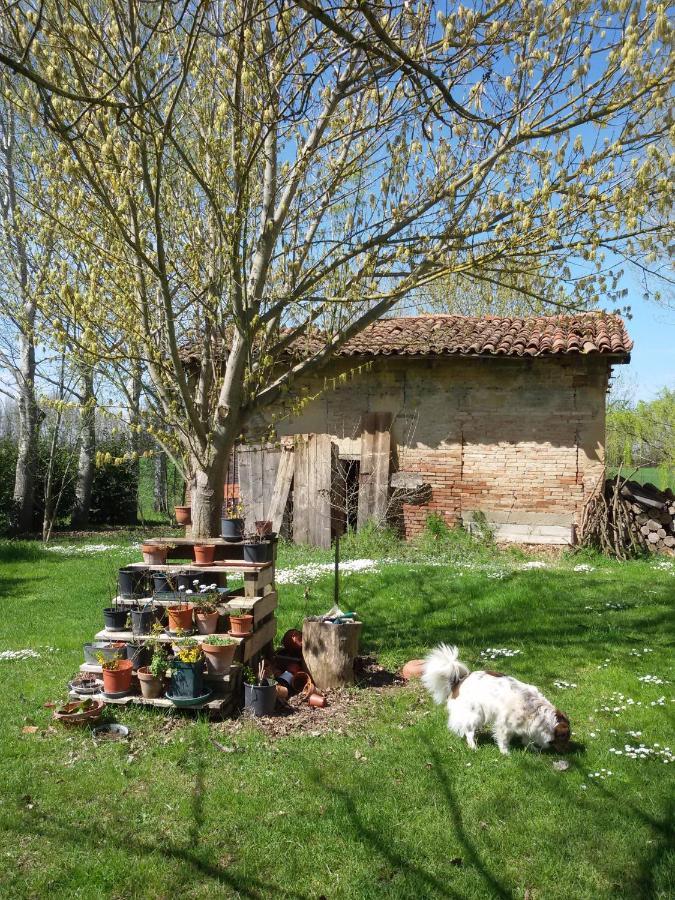 Bed and Breakfast Il Boschetto Di Morgana Castel San Pietro Terme Exterior foto