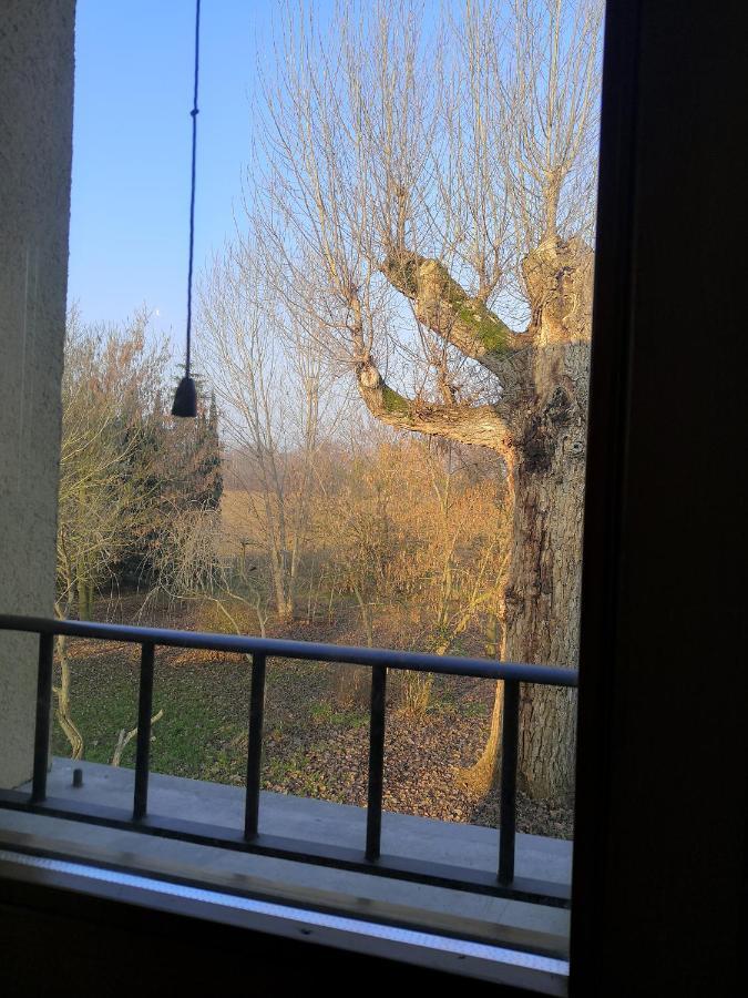 Bed and Breakfast Il Boschetto Di Morgana Castel San Pietro Terme Exterior foto